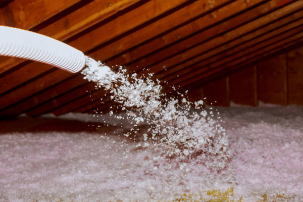 Best Crawl Space Insulation  in Wantagh, NY
